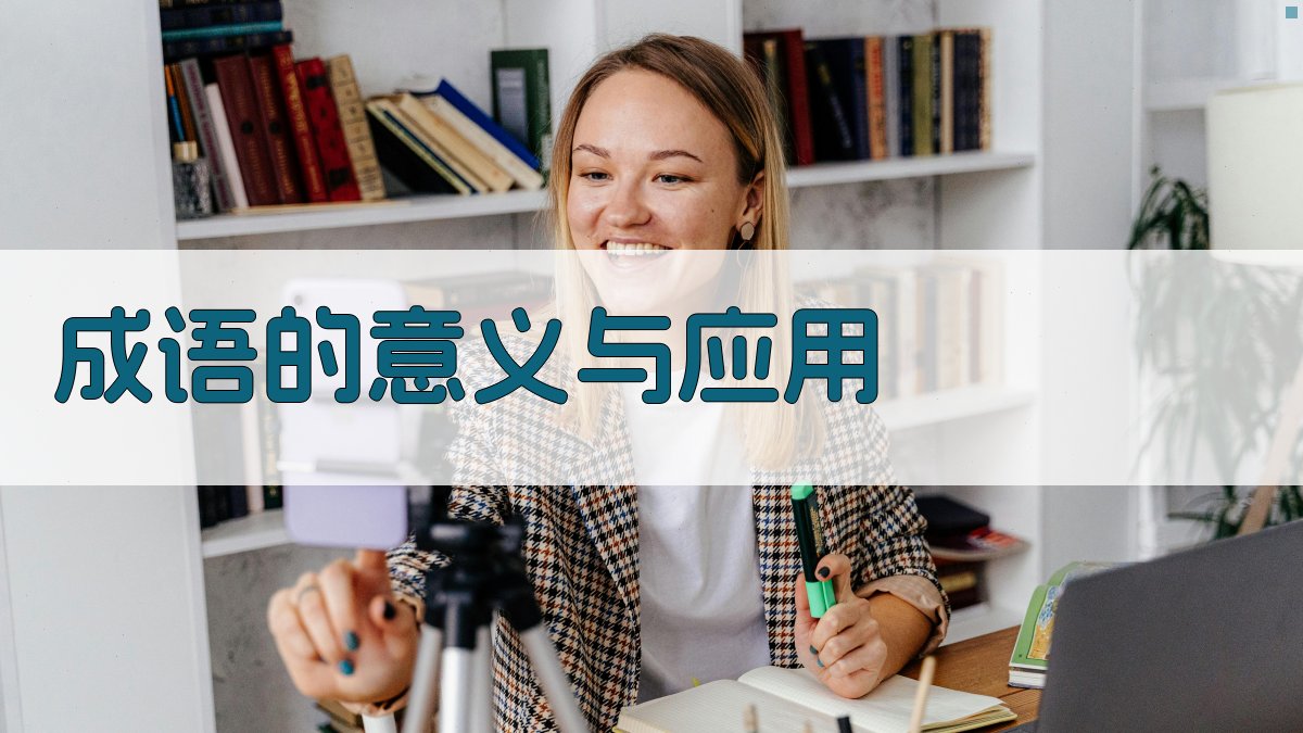 成语的意义与应用 图2
