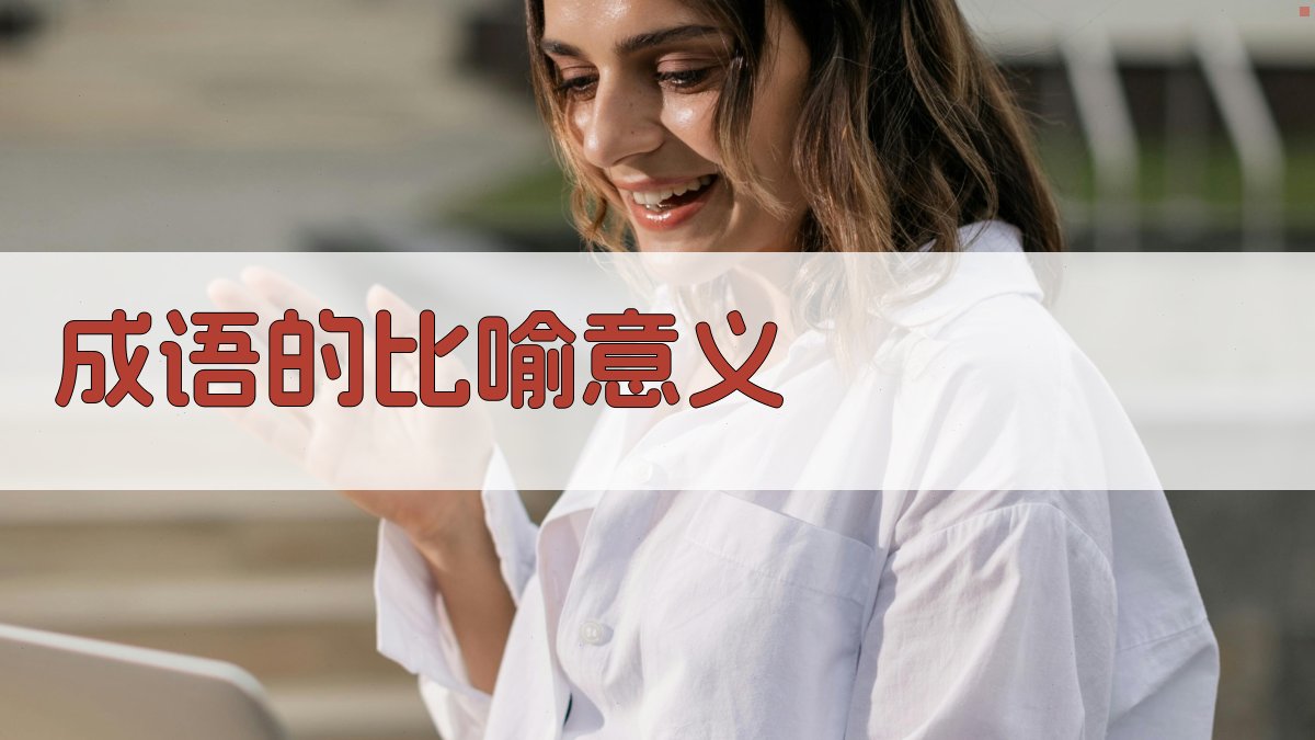 成语的比喻意义 图2