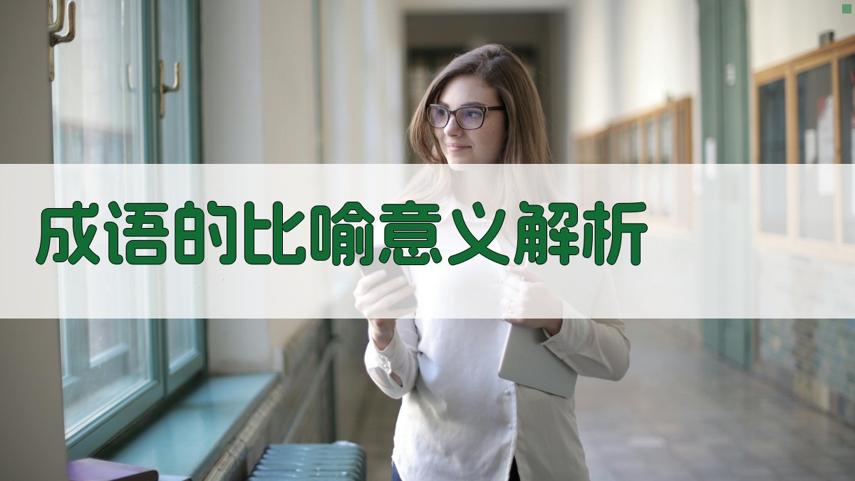 成语的比喻意义解析 图1