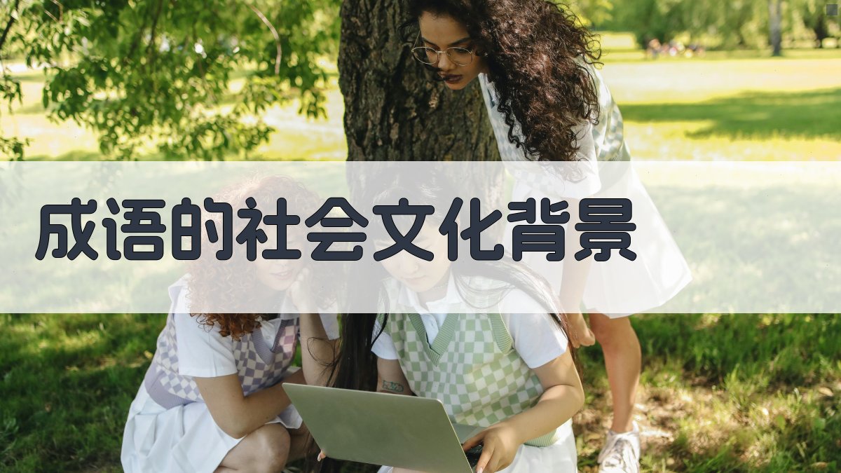 成语的社会文化背景 图1