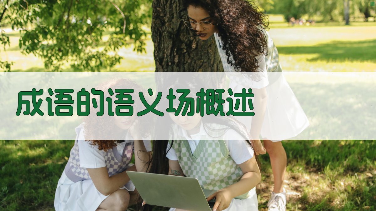 成语的语义场概述 图1