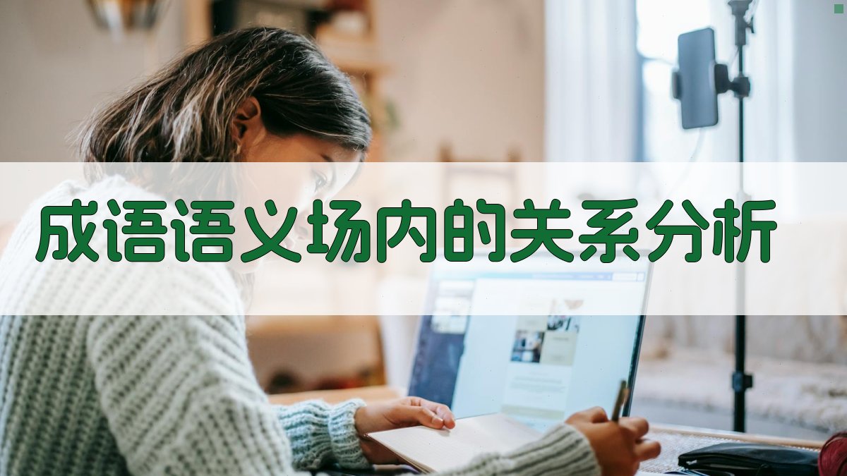 成语语义场内的关系分析 图2