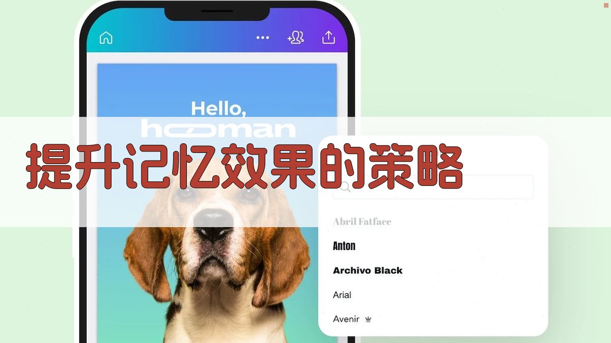 提升记忆效果的策略 图2