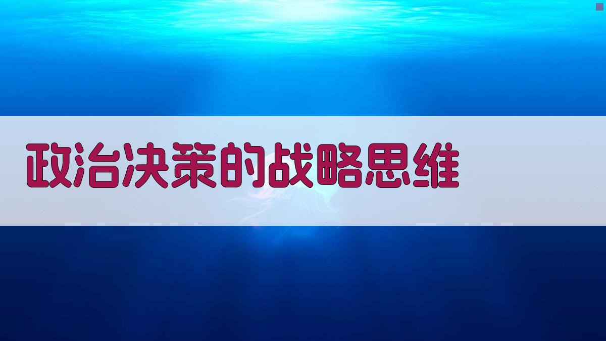 政治决策的战略思维 图2