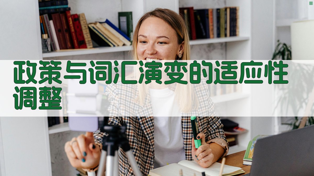 政策与词汇演变的适应性调整 图3