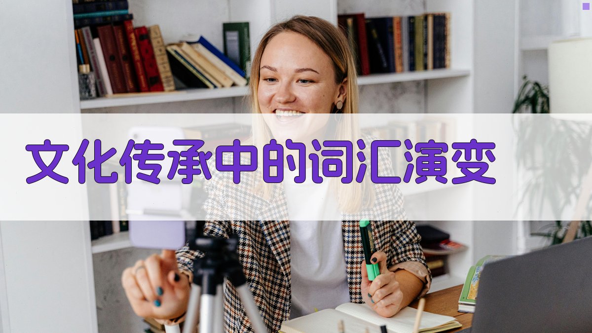 文化传承中的词汇演变 图3