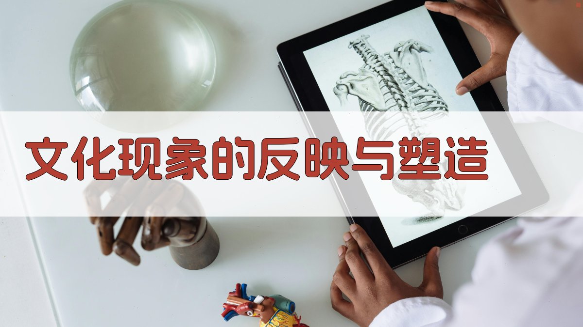文化现象的反映与塑造 图2