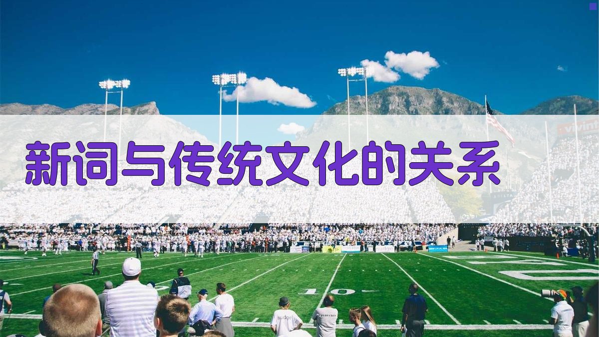 新词与传统文化的关系 图4