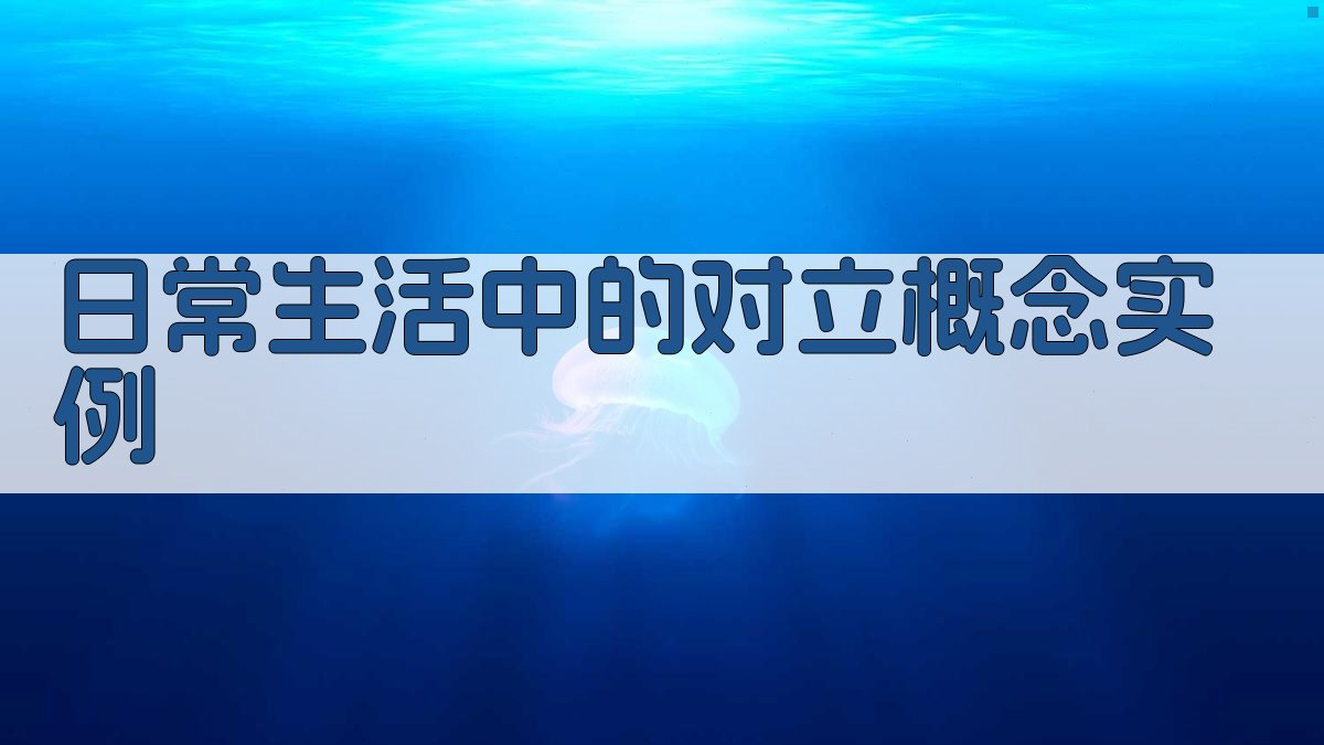 日常生活中的对立概念实例 图2