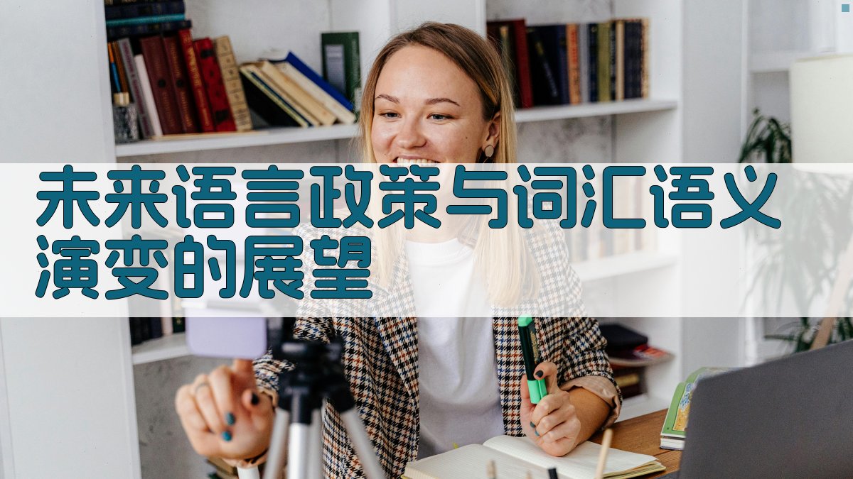 未来语言政策与词汇语义演变的展望 图4