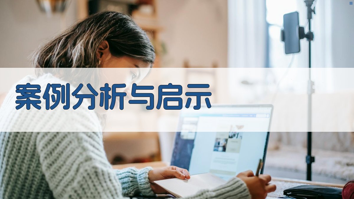 案例分析与启示 图2