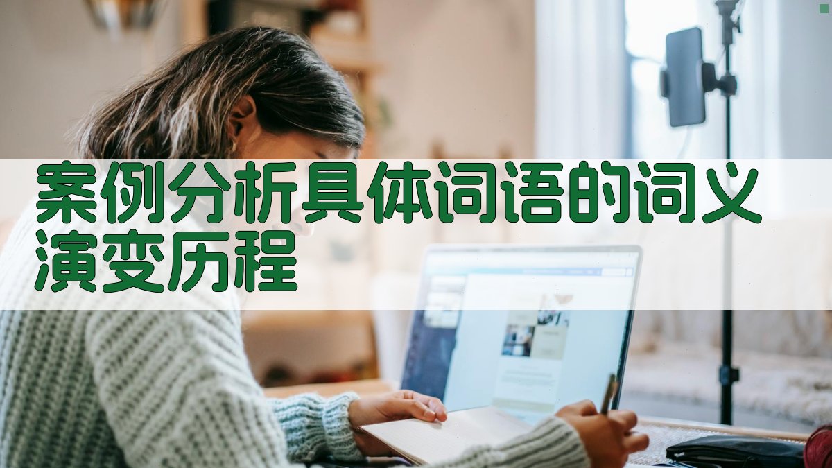 案例分析具体词语的词义演变历程 图1