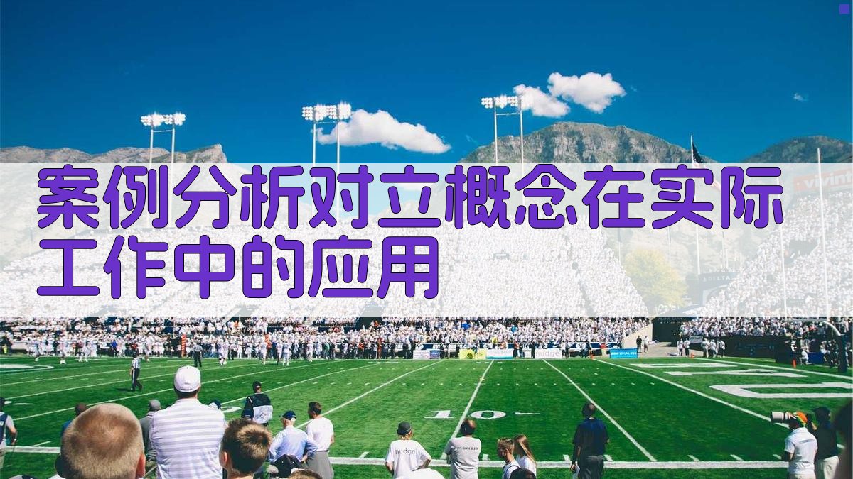 案例分析对立概念在实际工作中的应用 图2