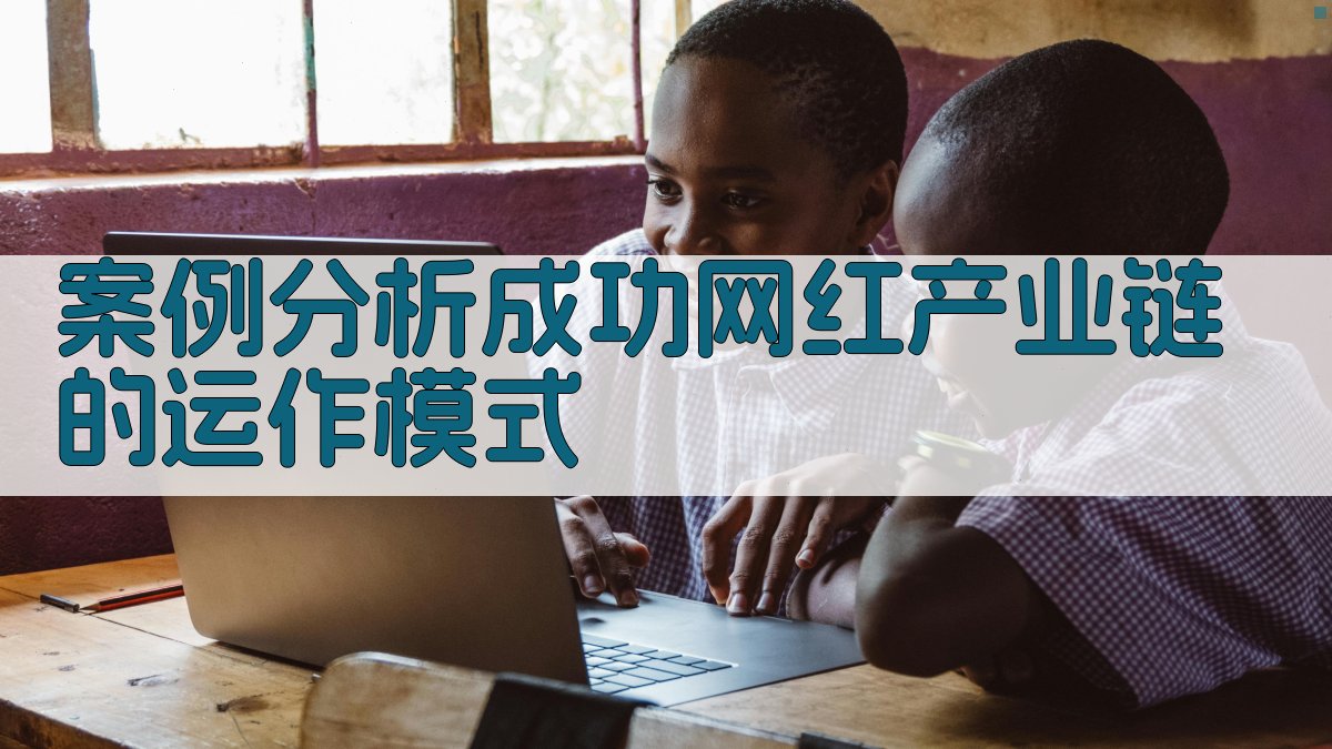 案例分析成功网红产业链的运作模式 图3
