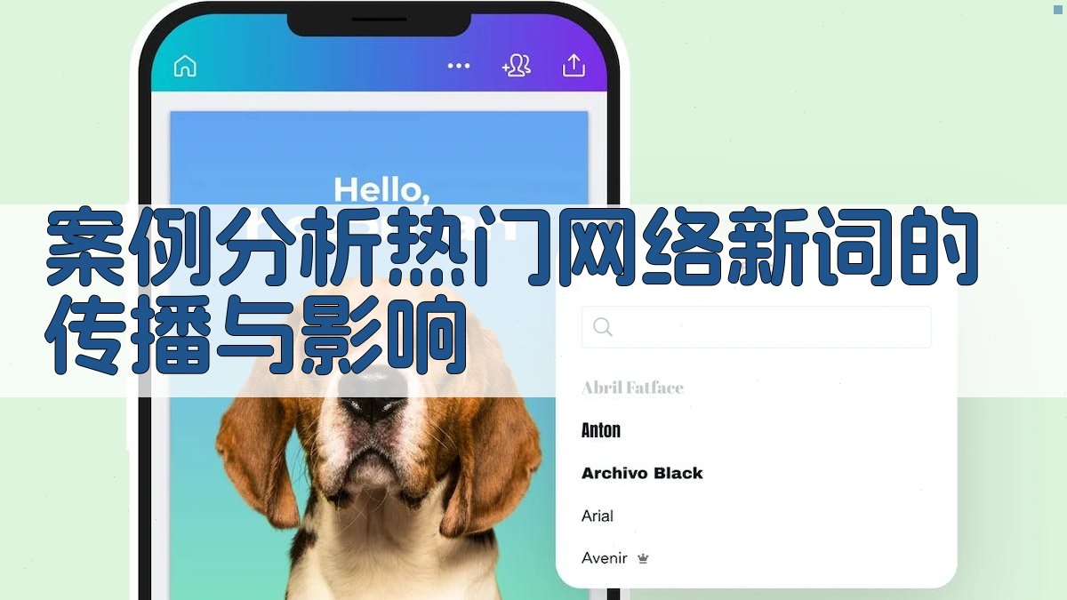 案例分析热门网络新词的传播与影响 图1