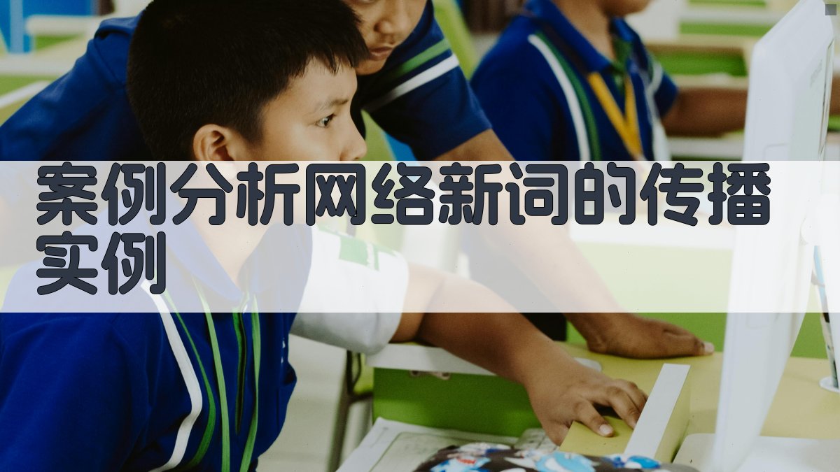 案例分析网络新词的传播实例 图2