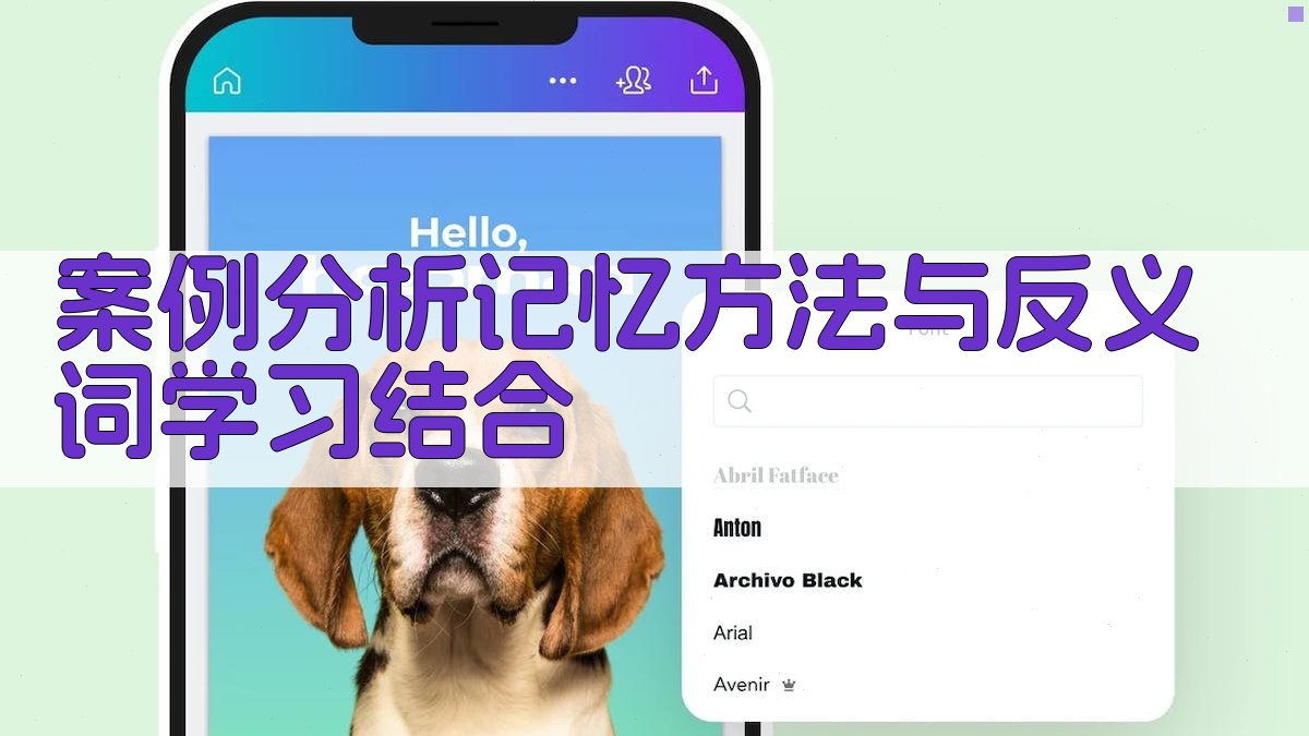 案例分析记忆方法与反义词学习结合 图3