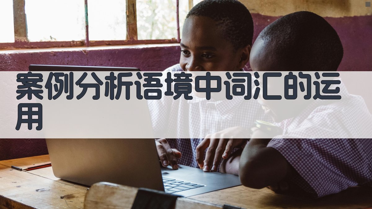 案例分析语境中词汇的运用 图4