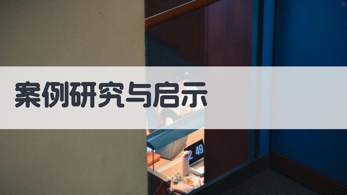 案例研究与启示 图4