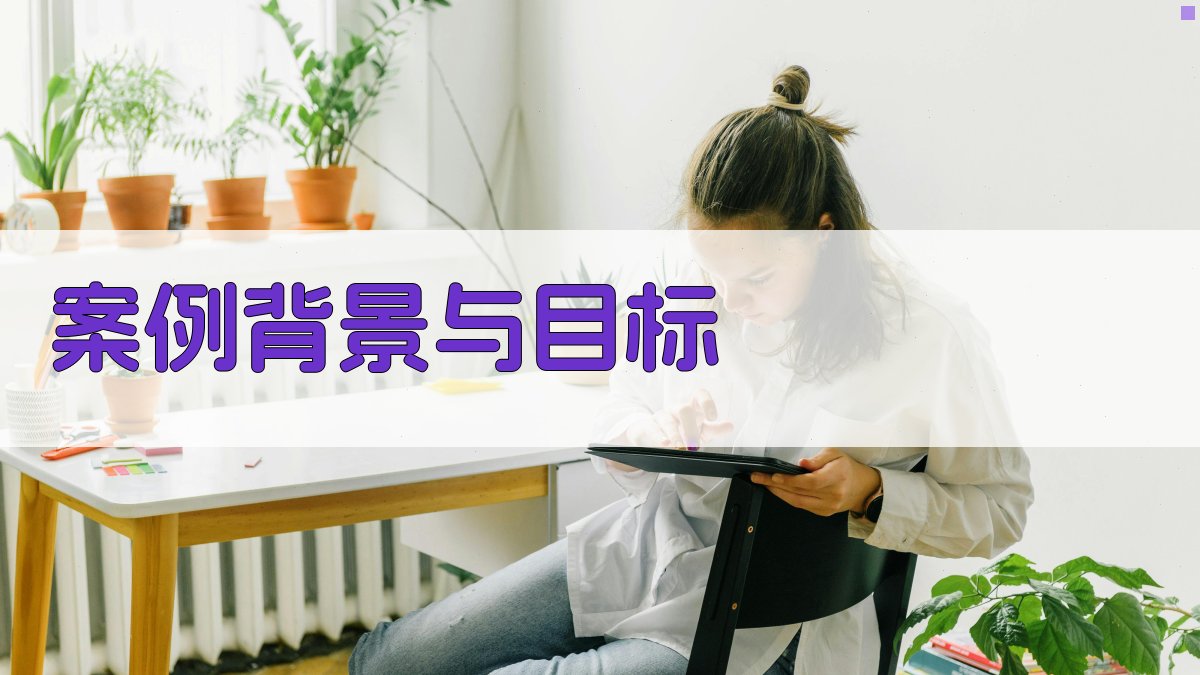 案例背景与目标 图1