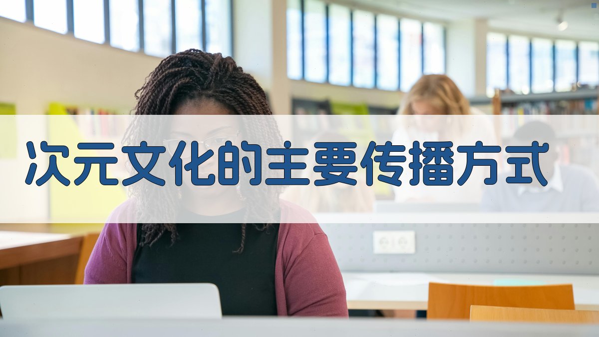 次元文化的主要传播方式 图2