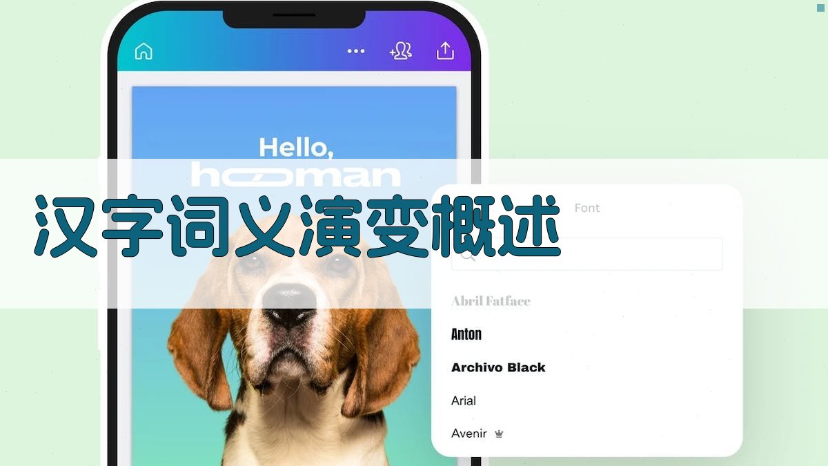 汉字词义演变概述 图1