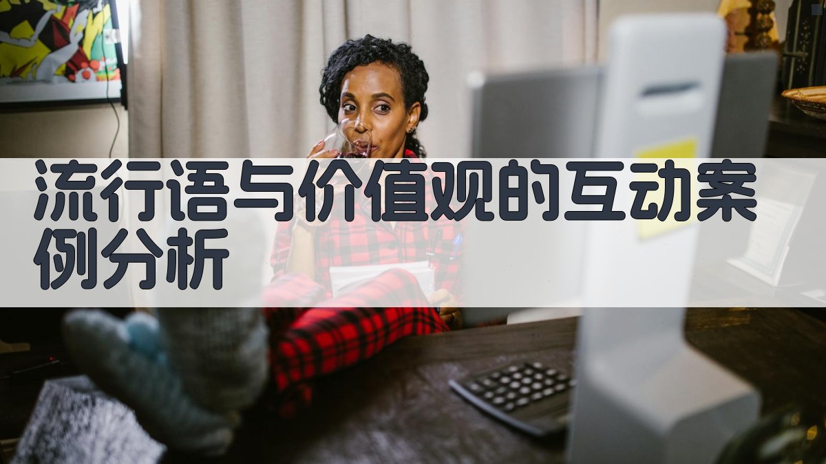 流行语与价值观的互动案例分析 图3