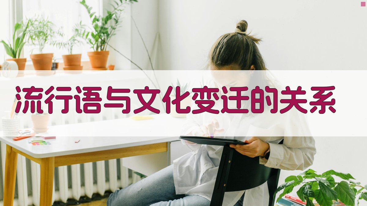 流行语与文化变迁的关系 图2