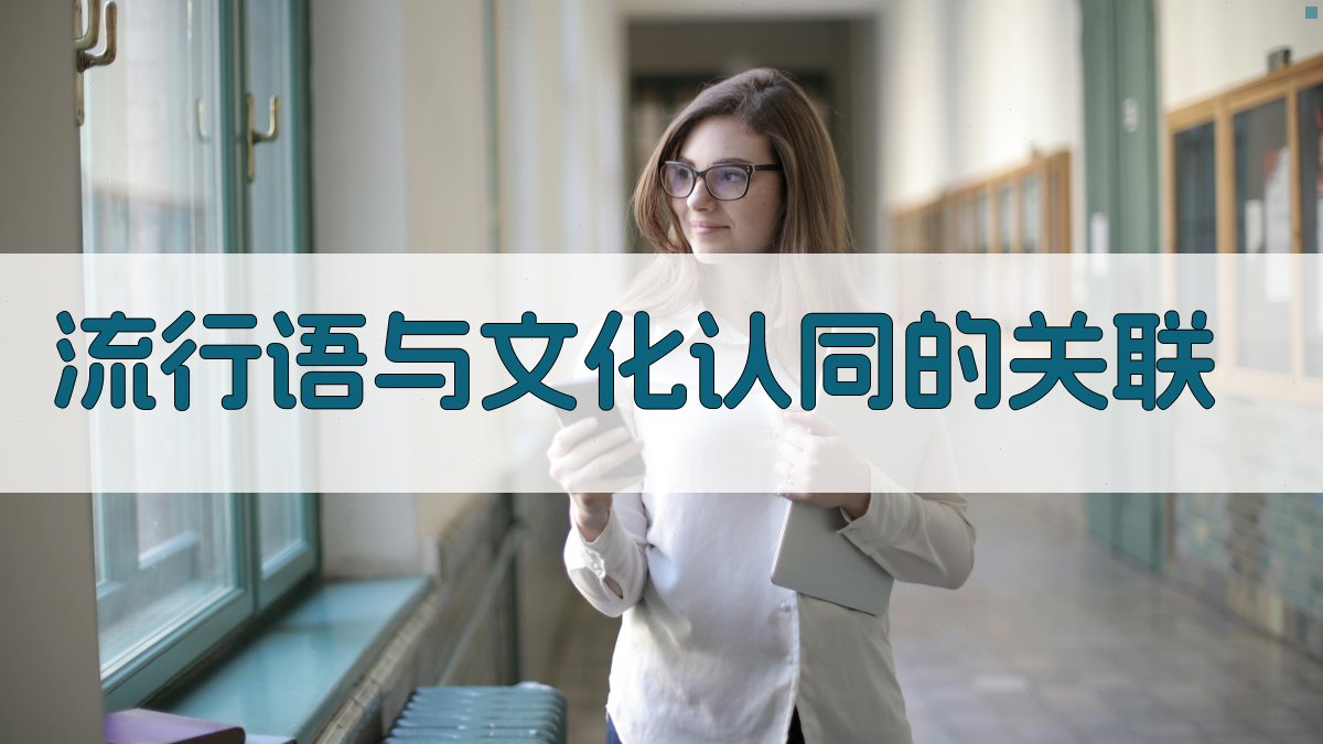 流行语与文化认同的关联 图3