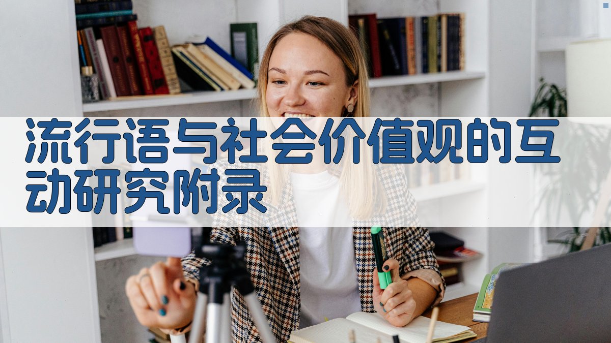 流行语与社会价值观的互动研究 · 附录 图4