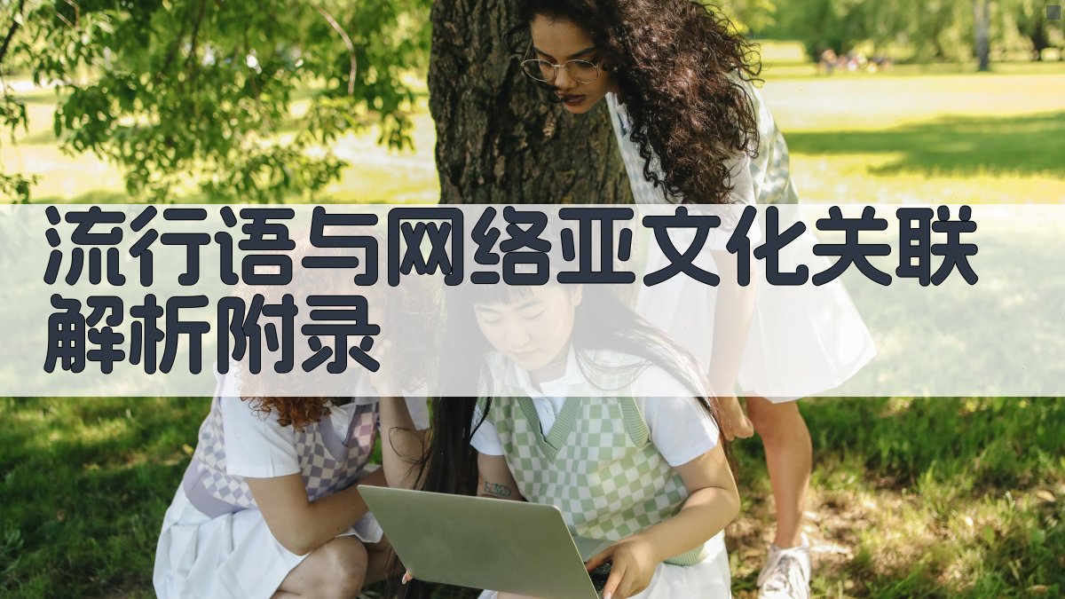 流行语与网络亚文化关联解析 · 附录 图2