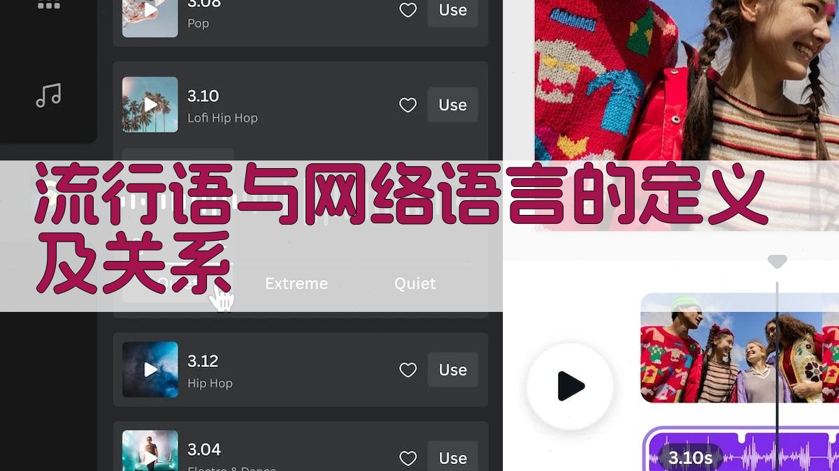 流行语与网络语言的定义及关系 图1