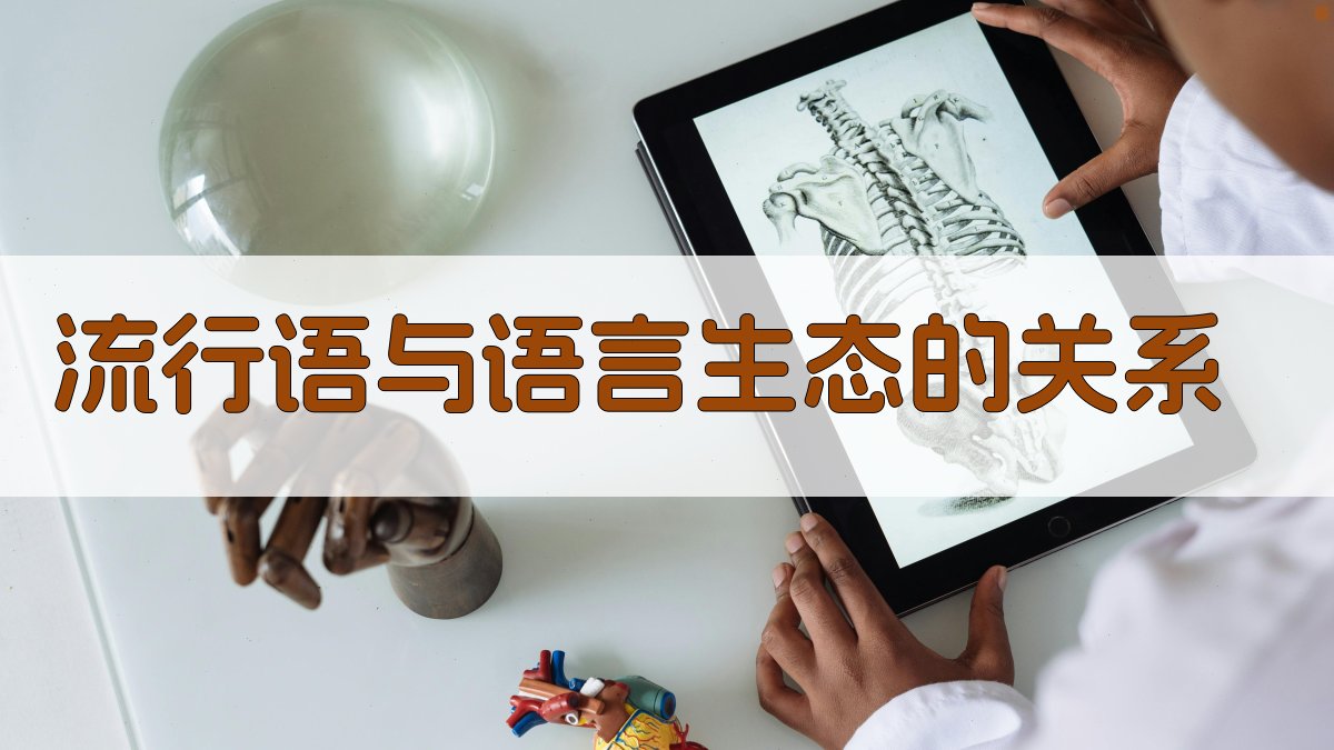 流行语与语言生态的关系 图3