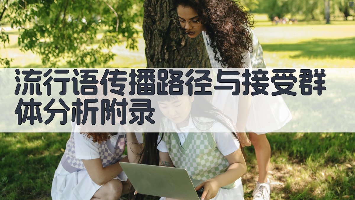 流行语传播路径与接受群体分析 · 附录 图5