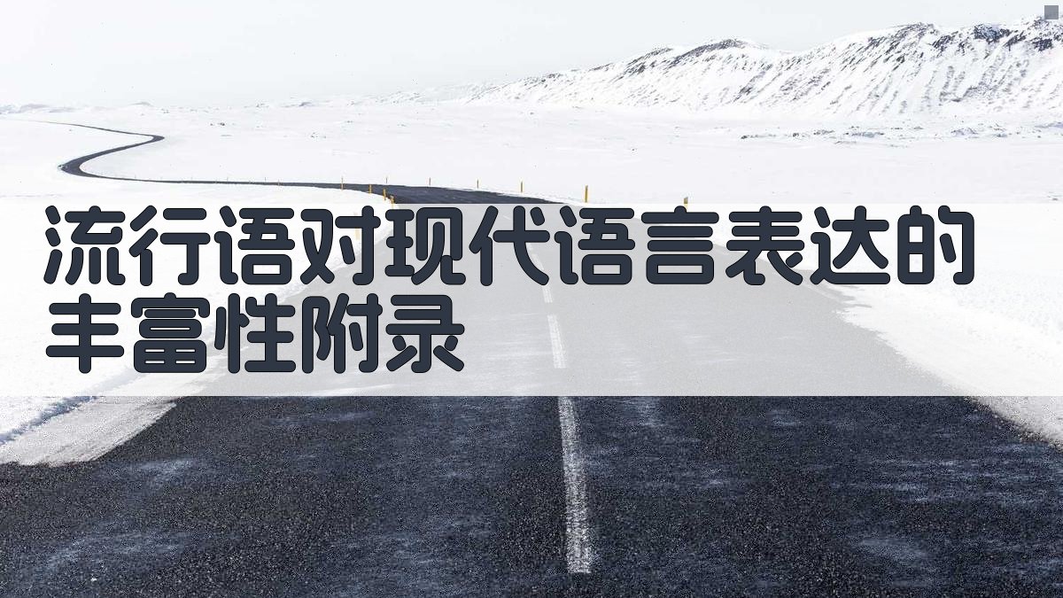 流行语对现代语言表达的丰富性 · 附录 图2