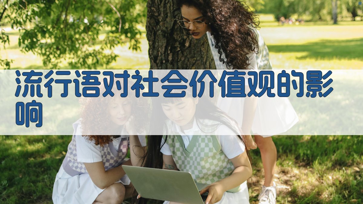 流行语对社会价值观的影响 图2