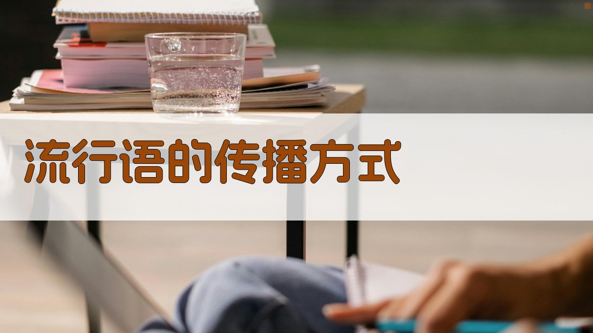 流行语的传播方式 图2