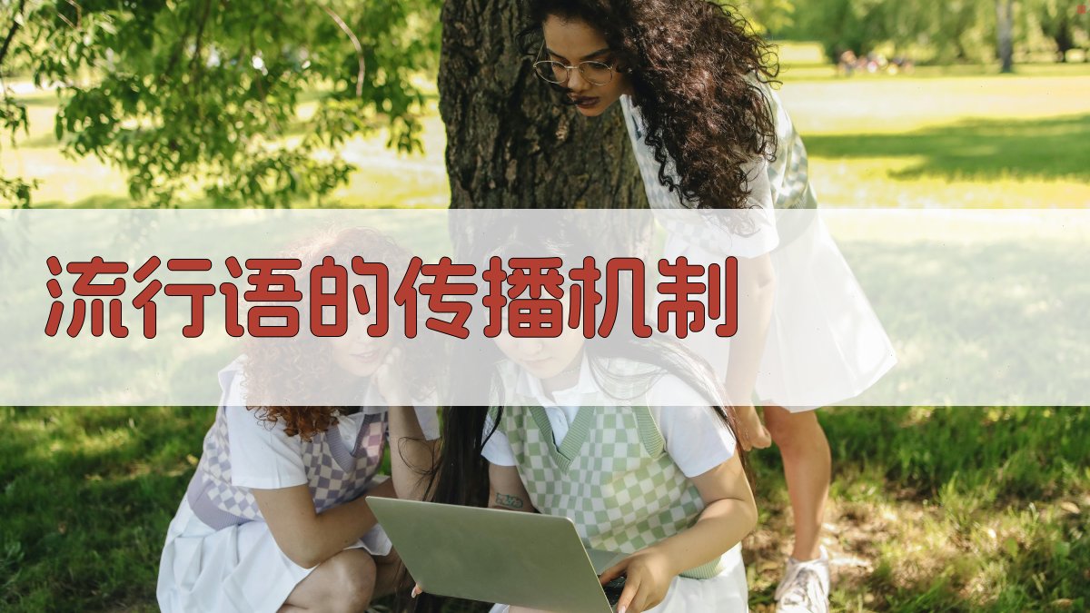 流行语的传播机制 图3