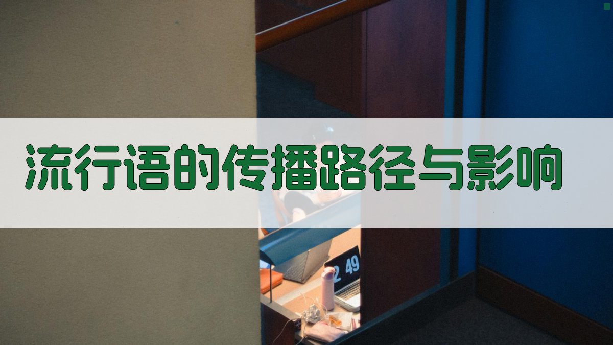 流行语的传播路径与影响 图1