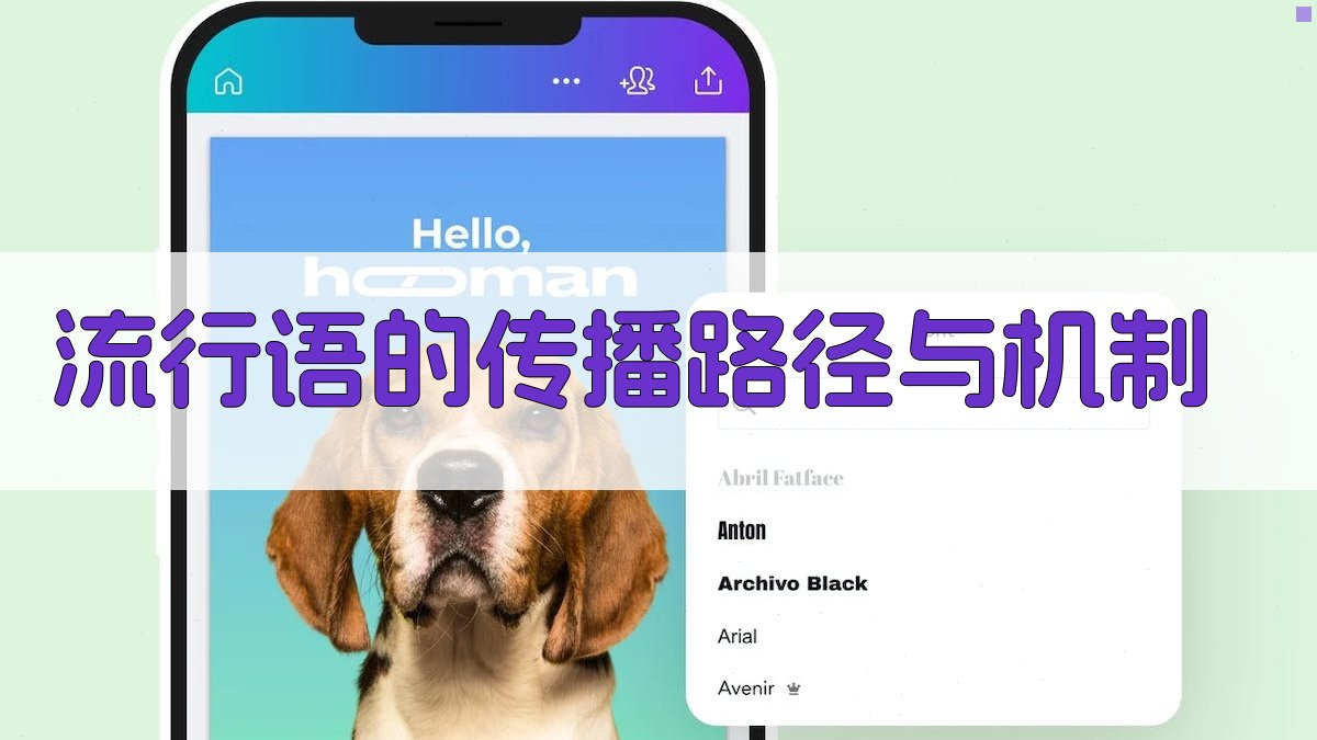 流行语的传播路径与机制 图1