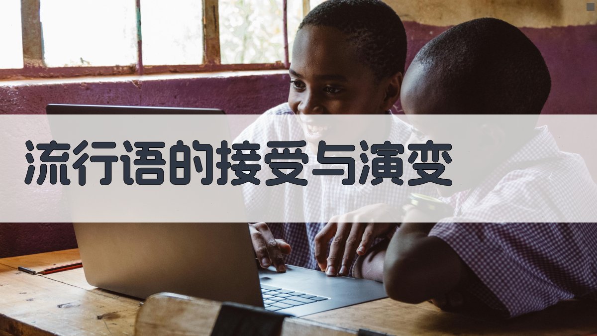 流行语的接受与演变 图3