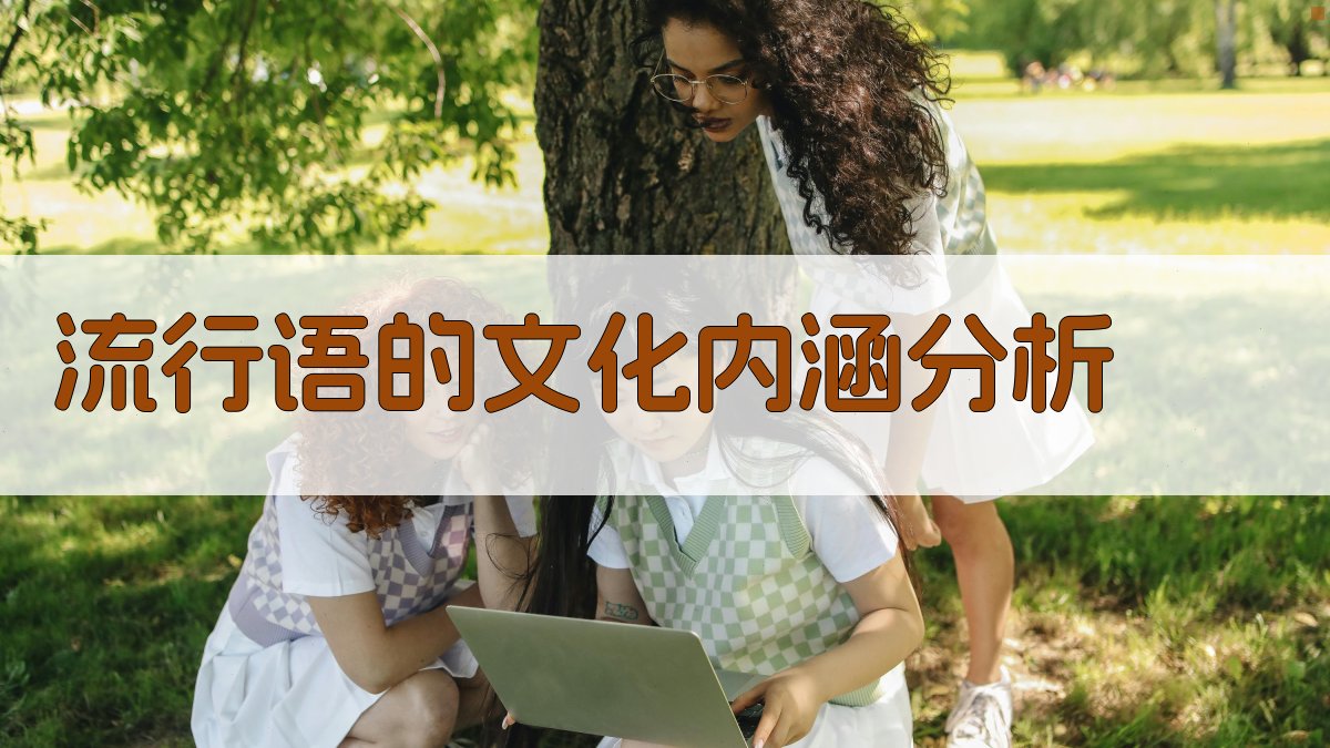 流行语的文化内涵分析 图2