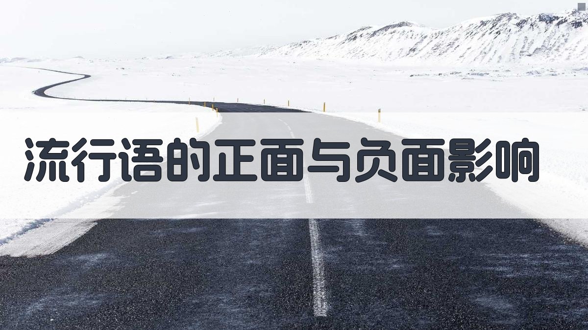 流行语的正面与负面影响 图1