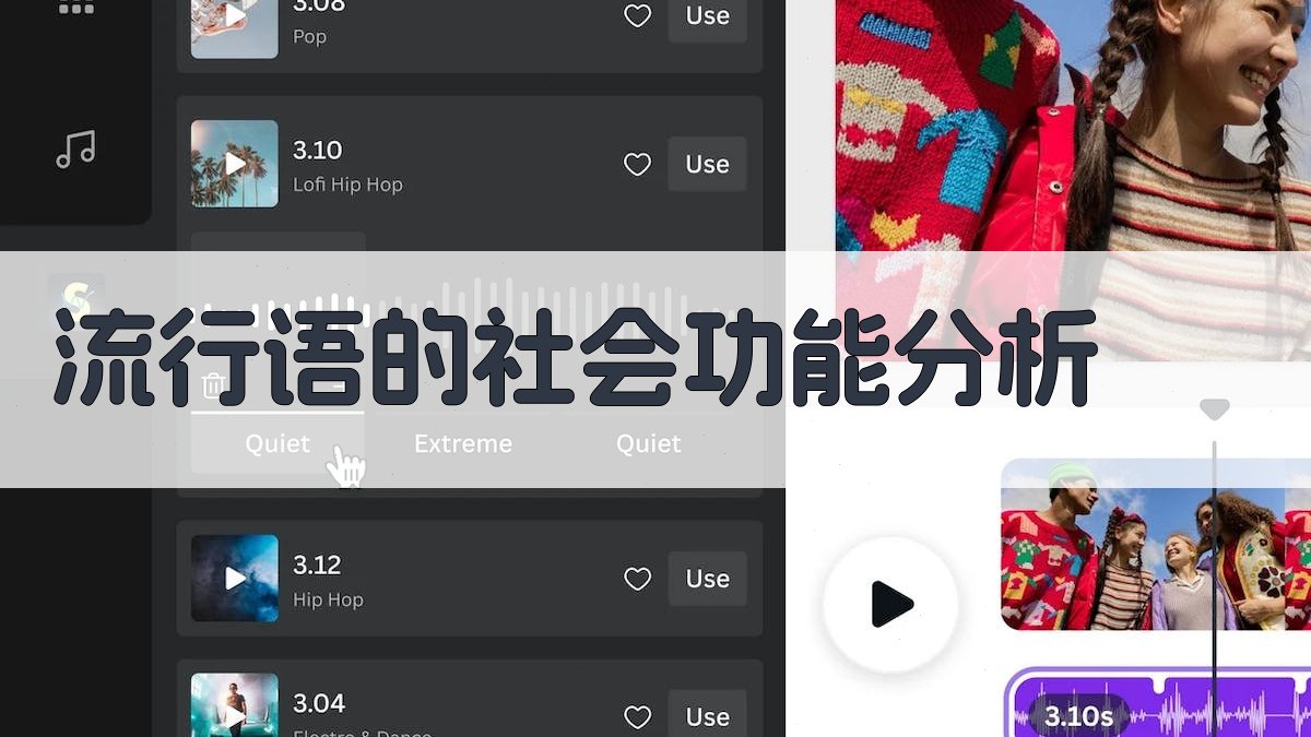 流行语的社会功能分析 图1