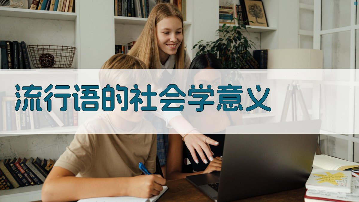 流行语的社会学意义 图1