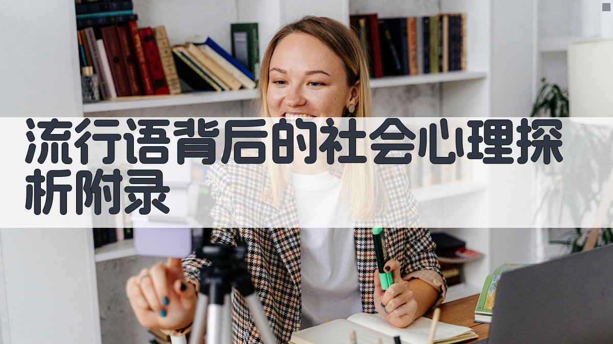 流行语背后的社会心理探析 · 附录 图5