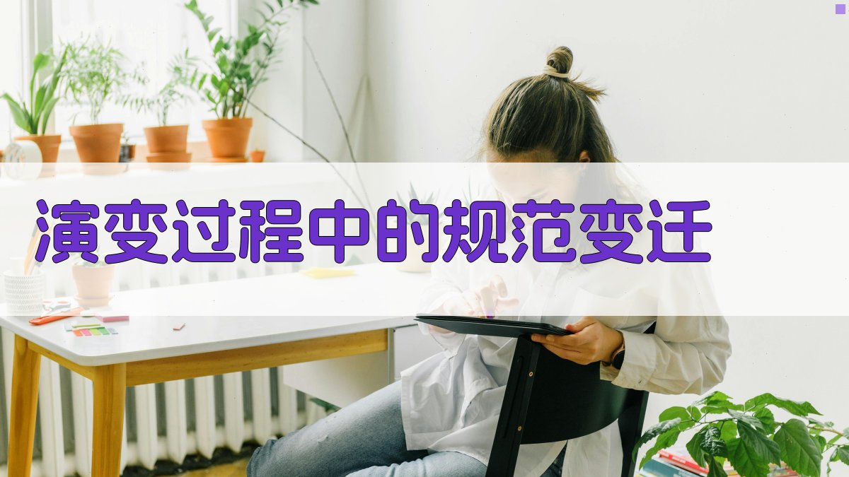 演变过程中的规范变迁 图3