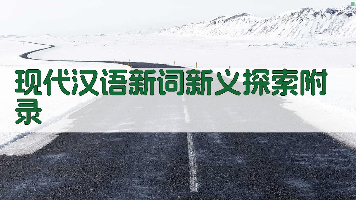 现代汉语新词新义探索 · 附录 图4