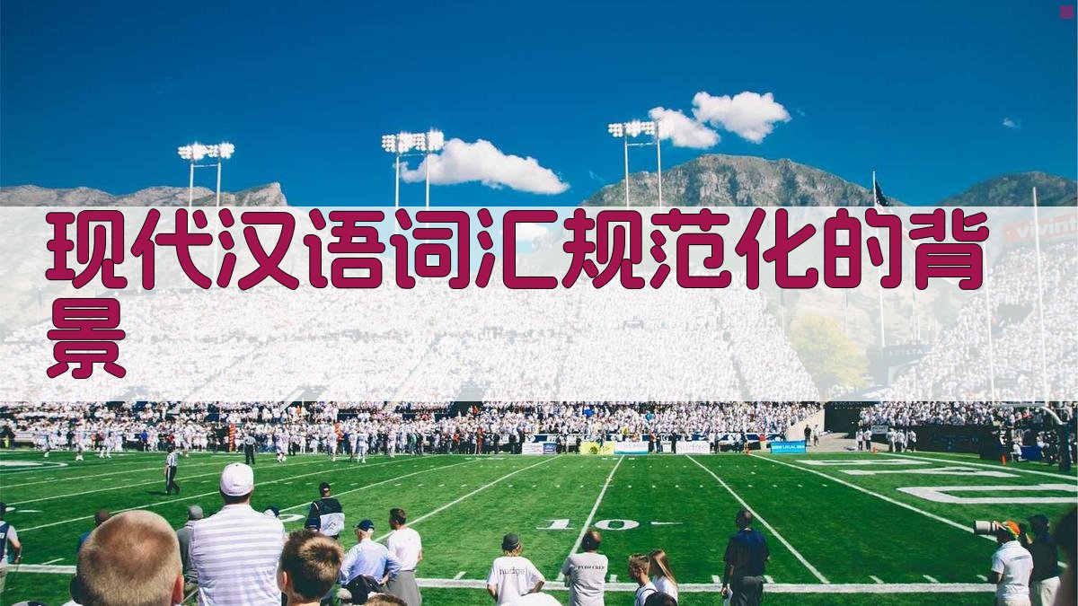 现代汉语词汇规范化的背景 图1