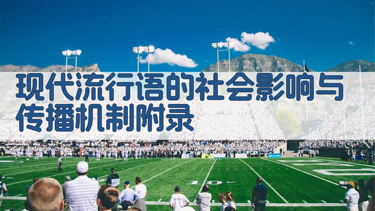 现代流行语的社会影响与传播机制 · 附录 图5